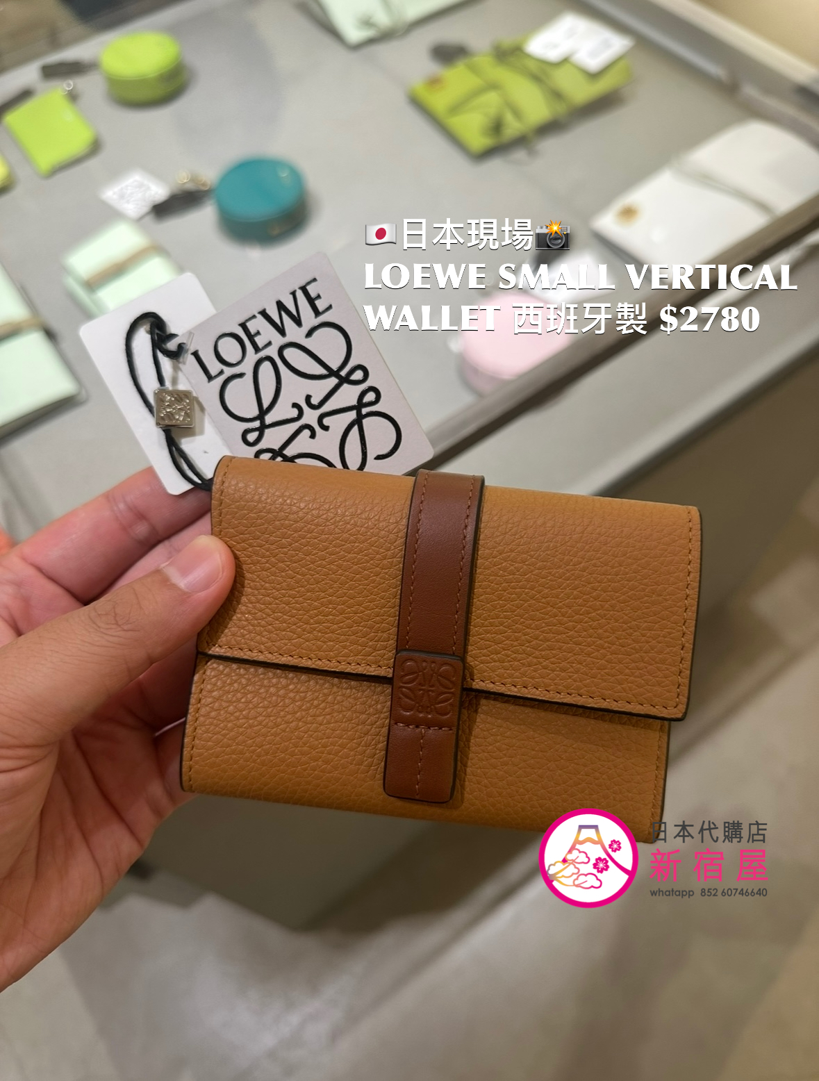 LOEWE SMALL VERTICAL WALLET