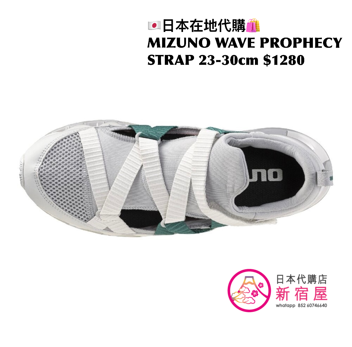 MIZUNO WAVE PROPHECY STRAP 日本限定