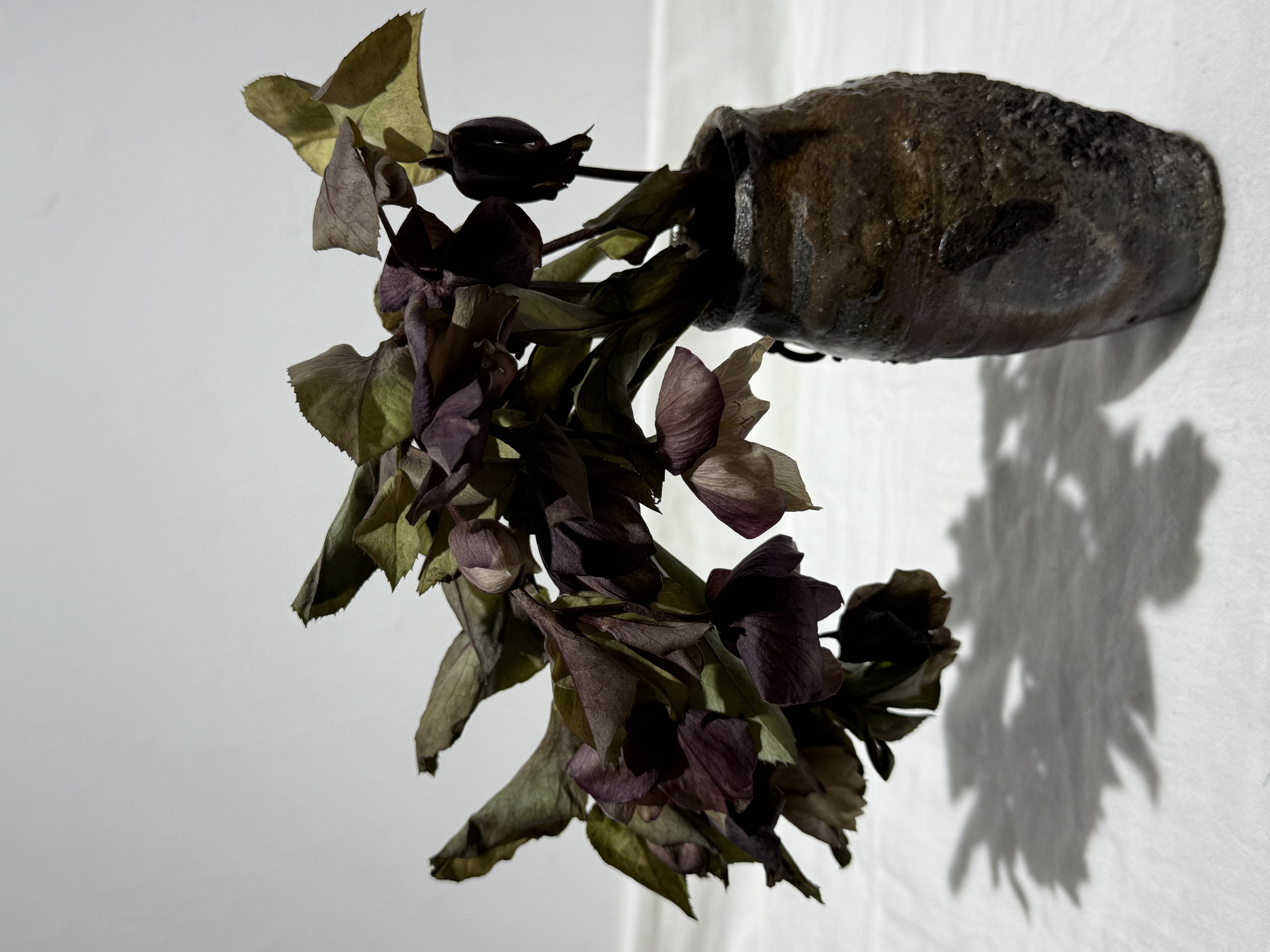 岩見晉介 花瓶 可吊掛 掛牆