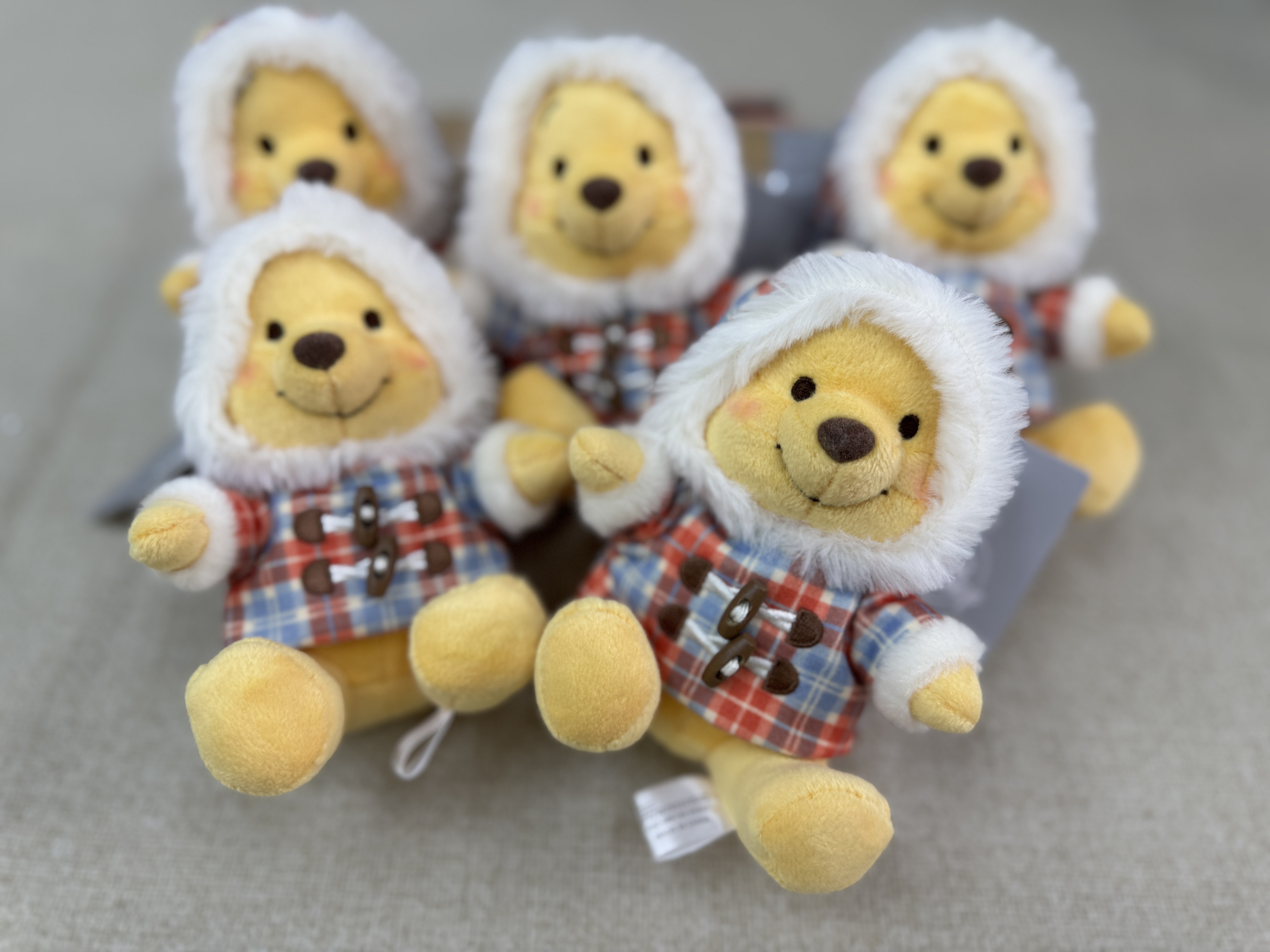 [現貨] [JDS] 冬季款 ｜ POOH ｜ 吊飾 {TF2411007}