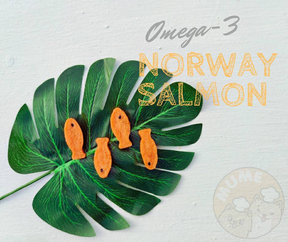 鬆脆三文魚／藍鱈魚魚仔