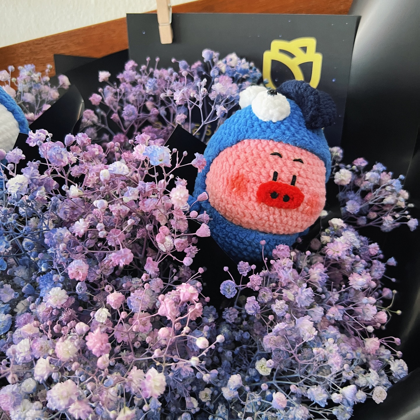 [Pre-order] Galaxy Baby’s Breath