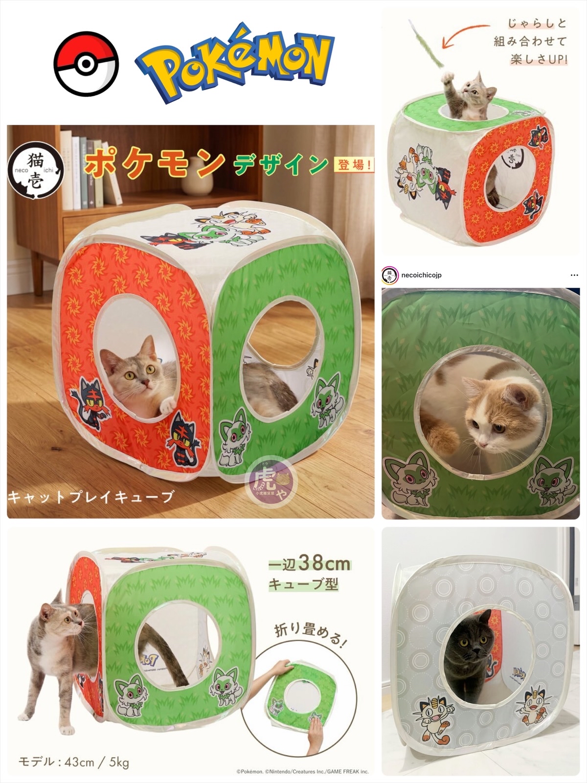 ☆預購☆限定版Pokemon x 猫壱玩樂箱