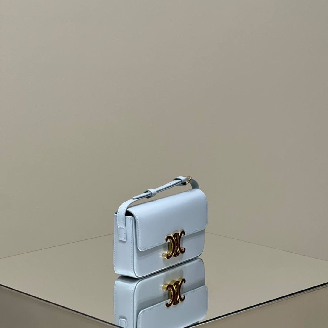 🔥大货实拍图 𝗖𝗘𝗟𝗜𝗡𝗘 ♥ 𝗧𝗥𝗜𝗢𝗠𝗣𝗛𝗘 𝗦𝗛𝗢𝗨𝗟𝗗𝗘𝗥 𝗕𝗔𝗚 型号：194143 尺寸：20*10*4cm