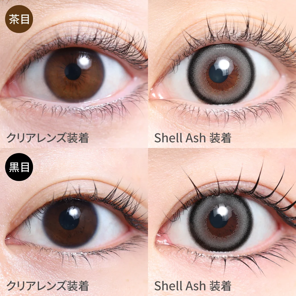 TeAmo - Piton Shell Ash (1day/10P)