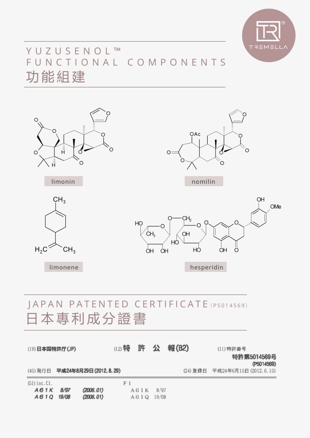 YUZUMI 柚美-酵素蔬果植物綜合美白排毒瘦身飲（16枚x20g）