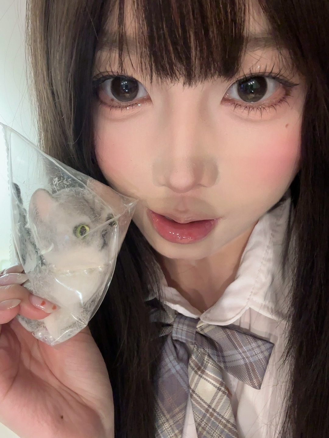 Kaylens 半年拋 月神閃蝶/星褐閃碟/紫晶閃蝶