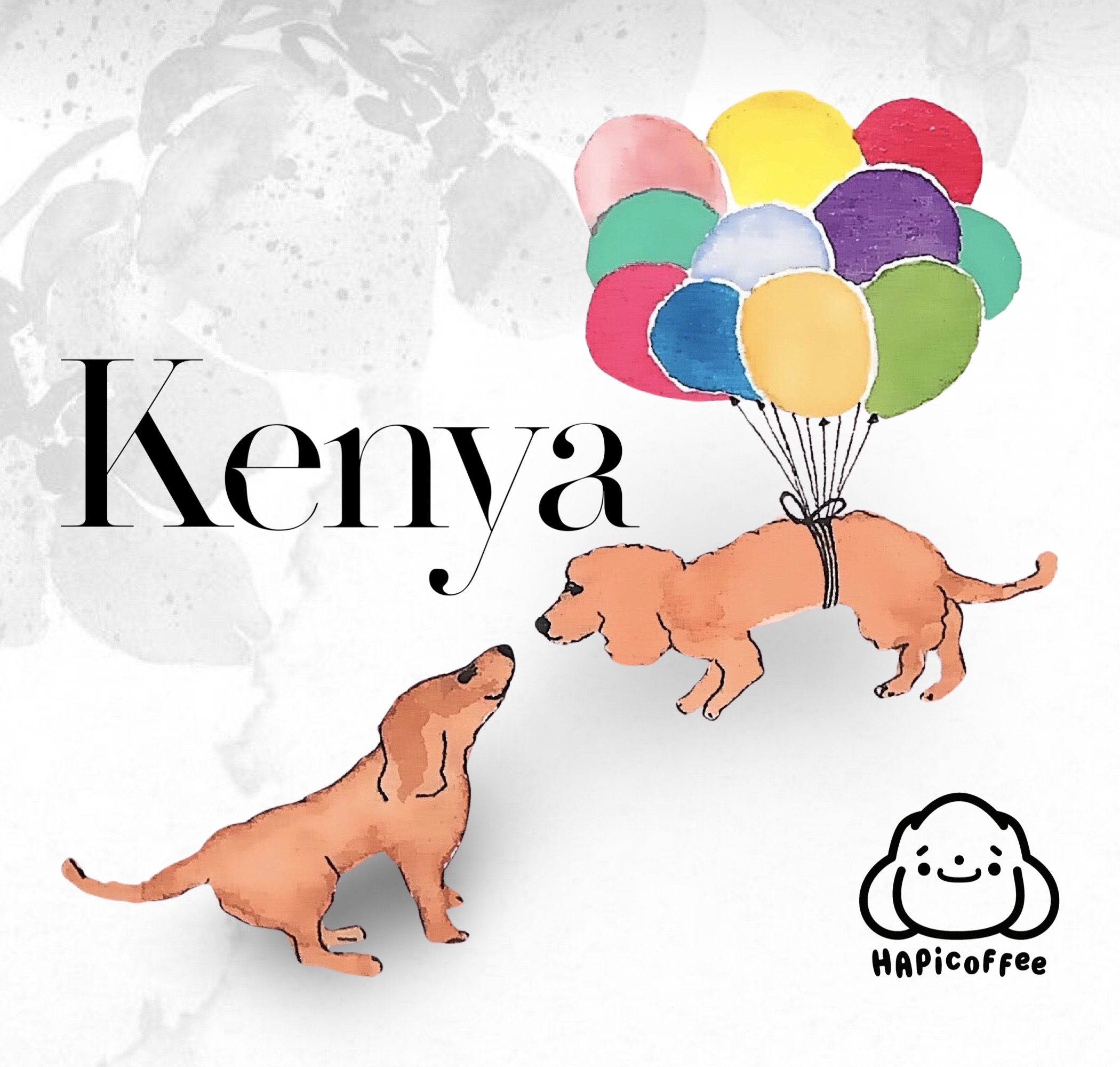 KENYA Muranga Marumi SL28 Washed