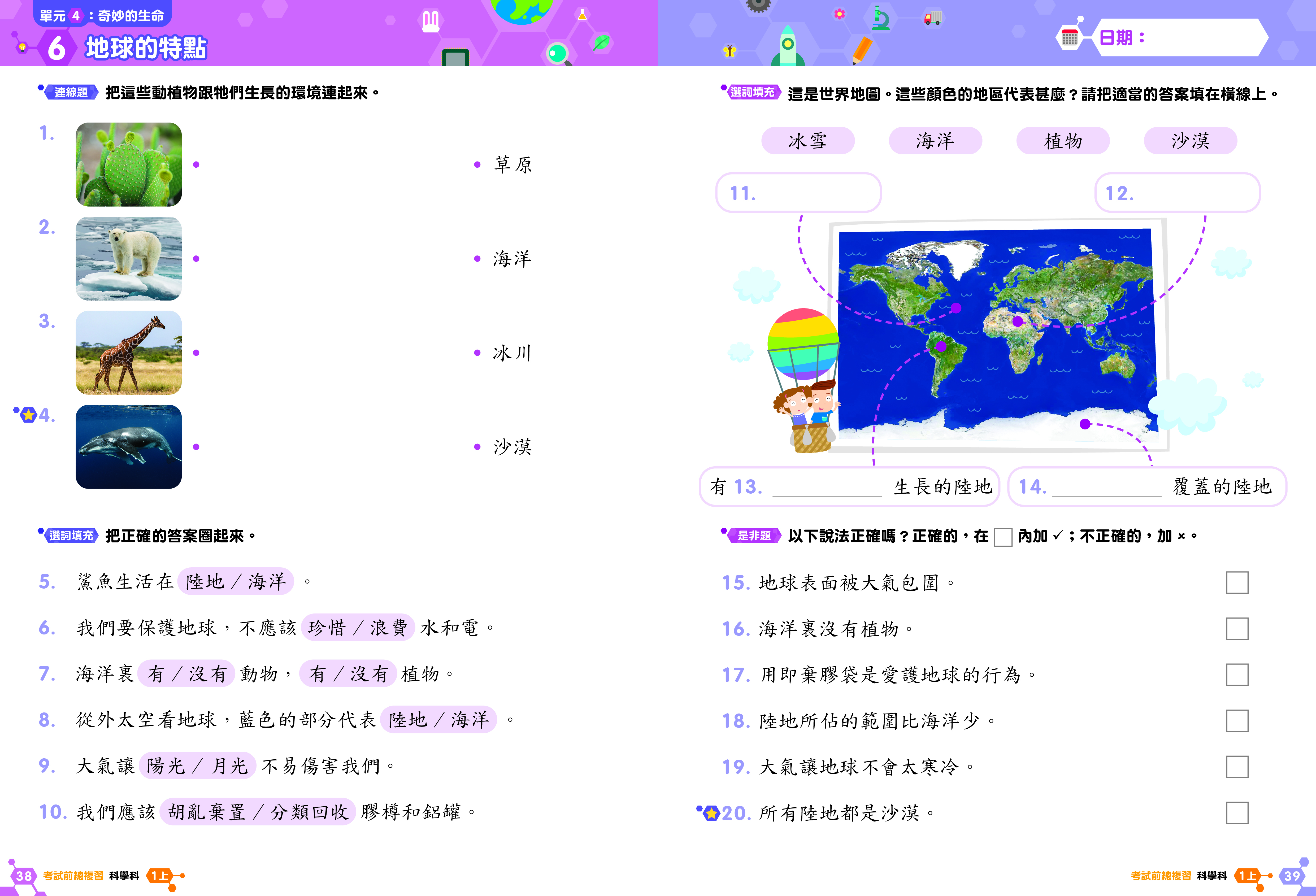 《小學科學科溫習全攻略：考試前總複習 + 模擬試卷》