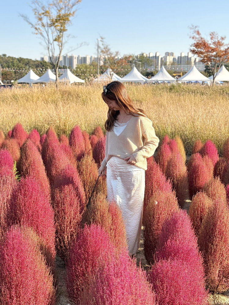 Low-cut Alpaca Knit Sweater (Beige)