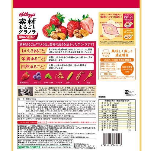 Kellogg's 日本家樂氏草莓穀物早餐 430g  Exp Date : 2027.02