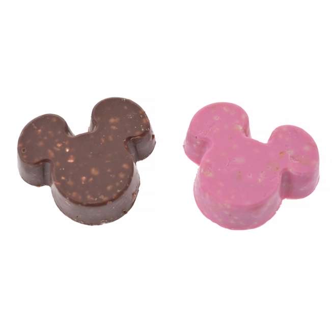 🎀【預訂】 Disney Holiday Gift M 朱古力