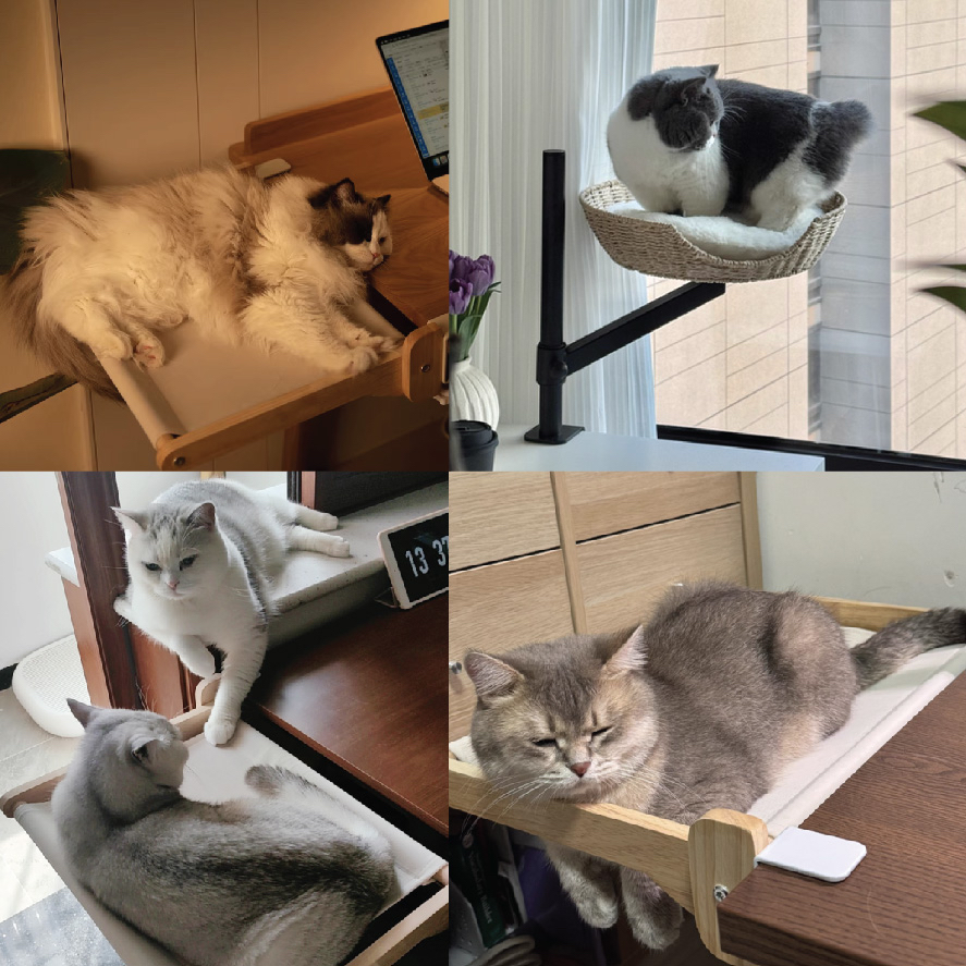 書桌上編織貓吊床