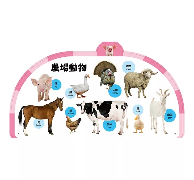 人類 趣味認知圖鑑：可愛動物大集合