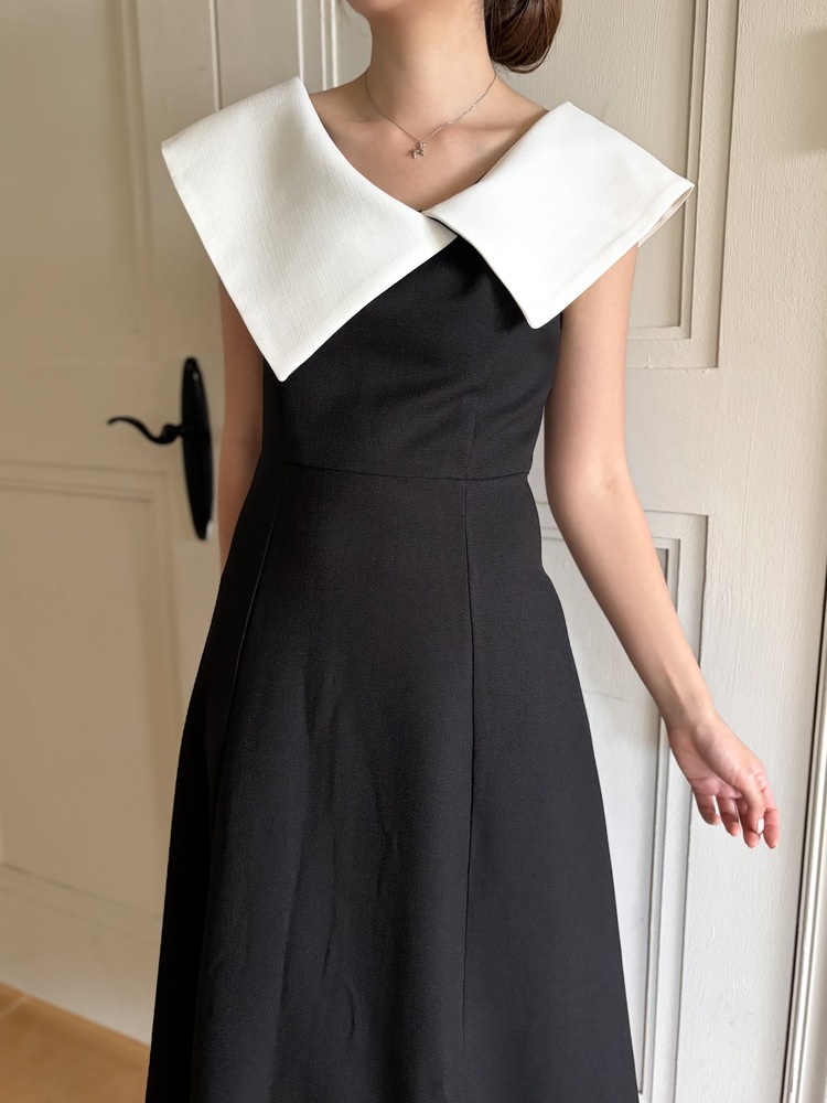 Celine Contrast Collar Dress
