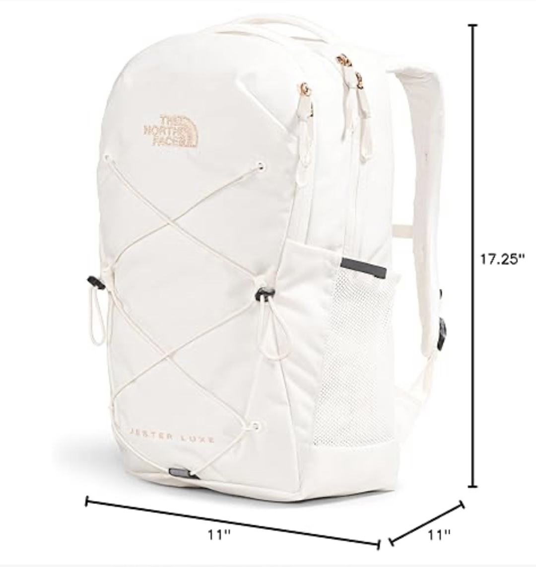 The North face Jester Backpack