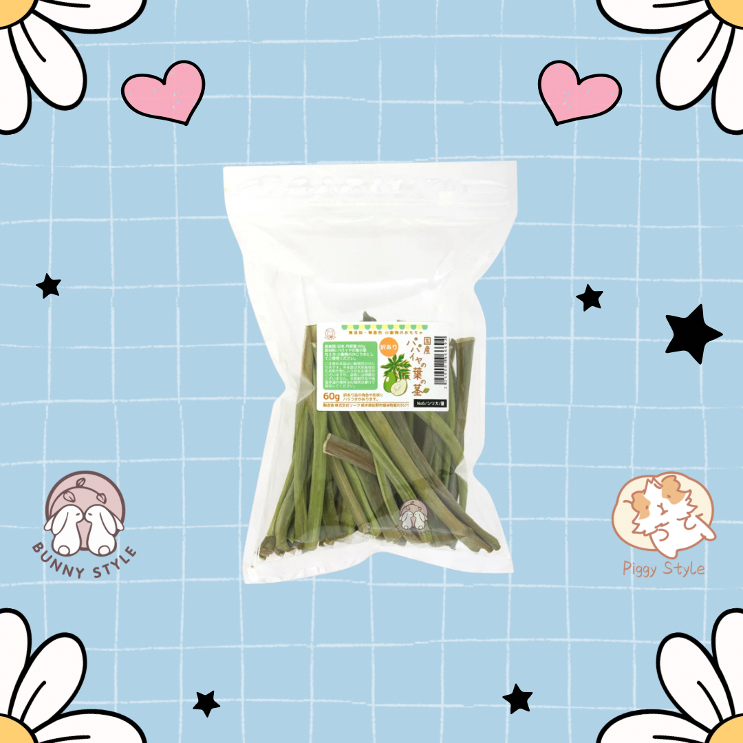 日本LeafCorp 木瓜莖 60g