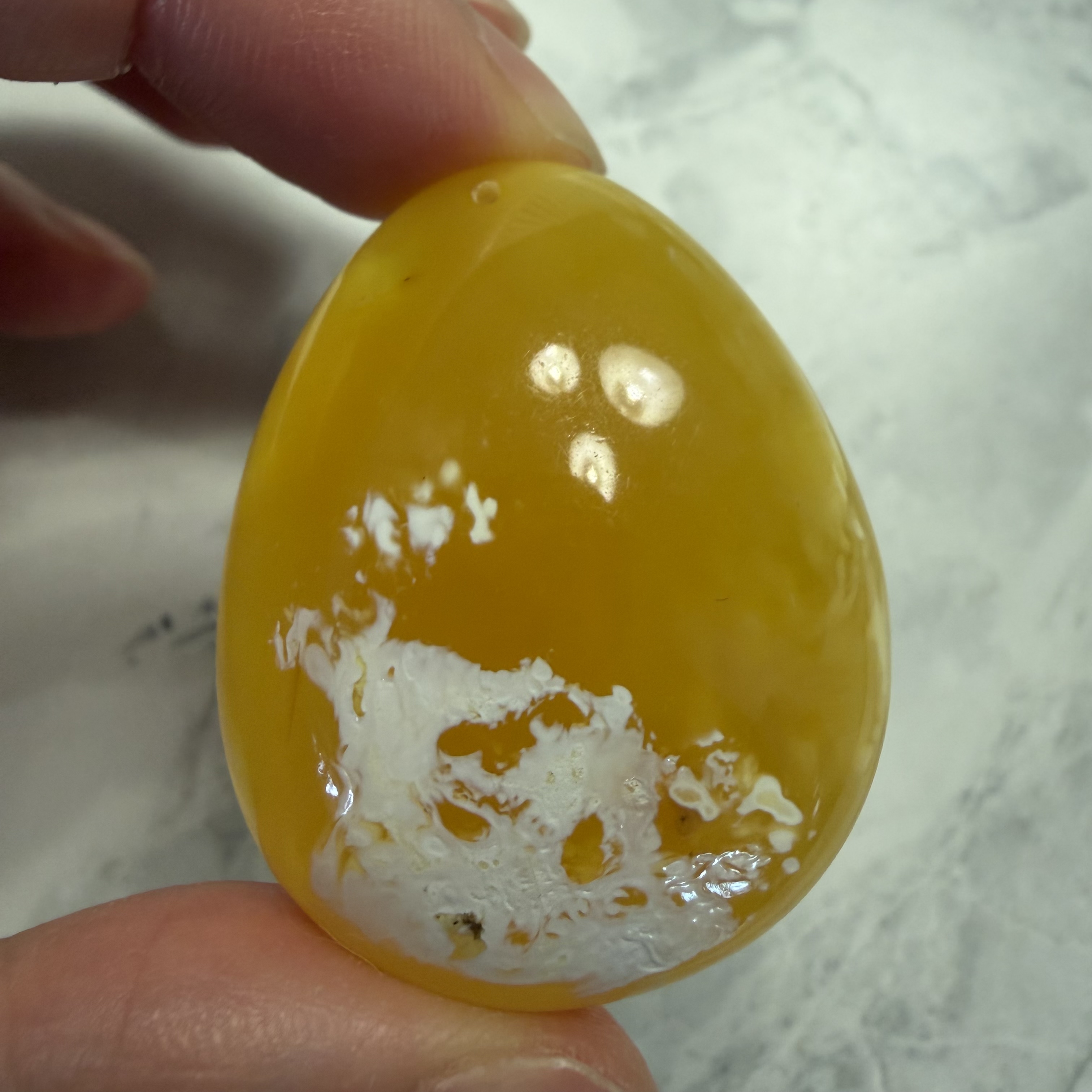 ［閉店一口價］波羅的海金漆白植物珀