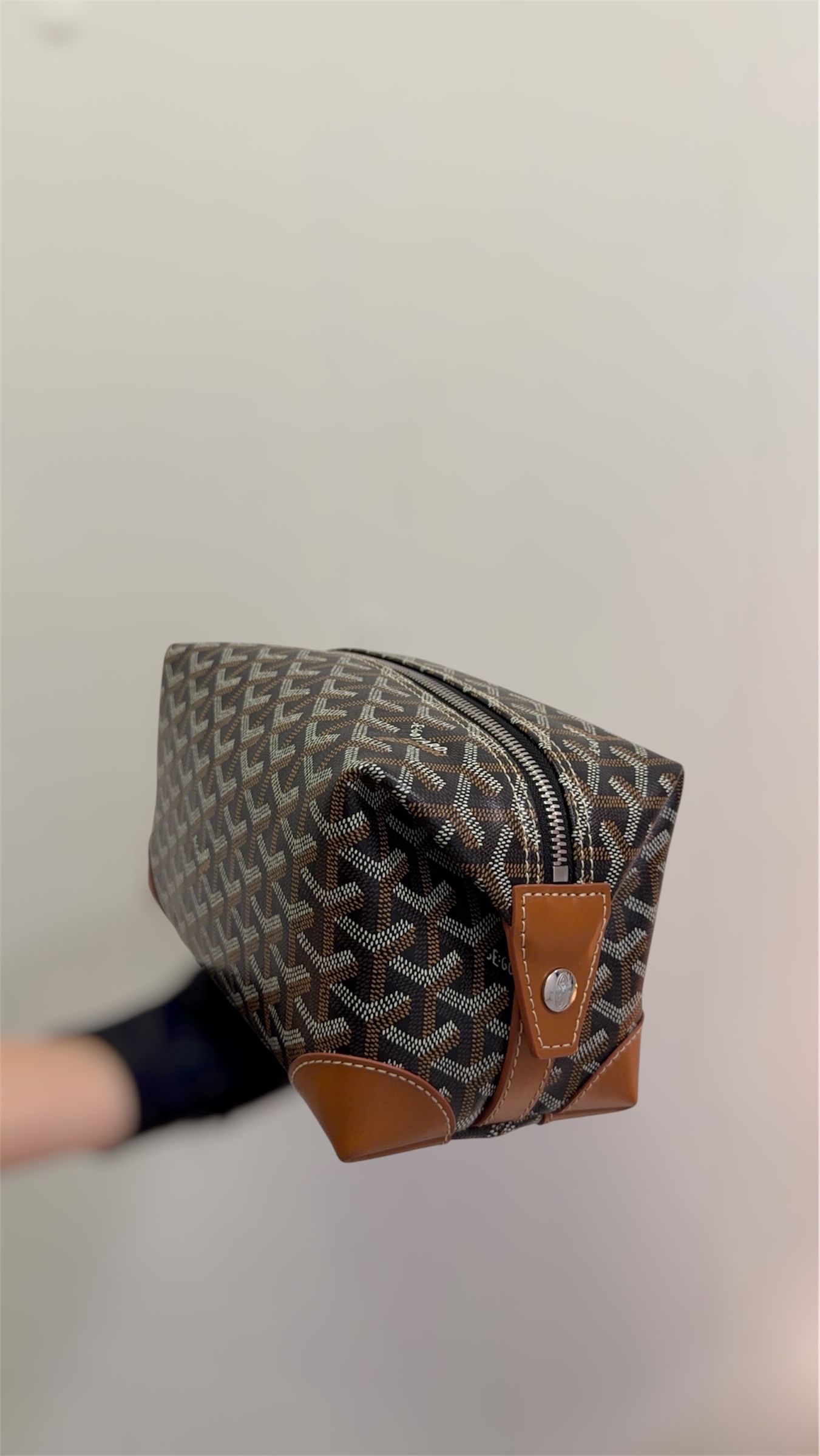 Goyard Bowling 25 Toiletry Bag-90% New