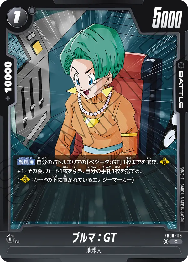 FB09-115 C ブルマ：GT