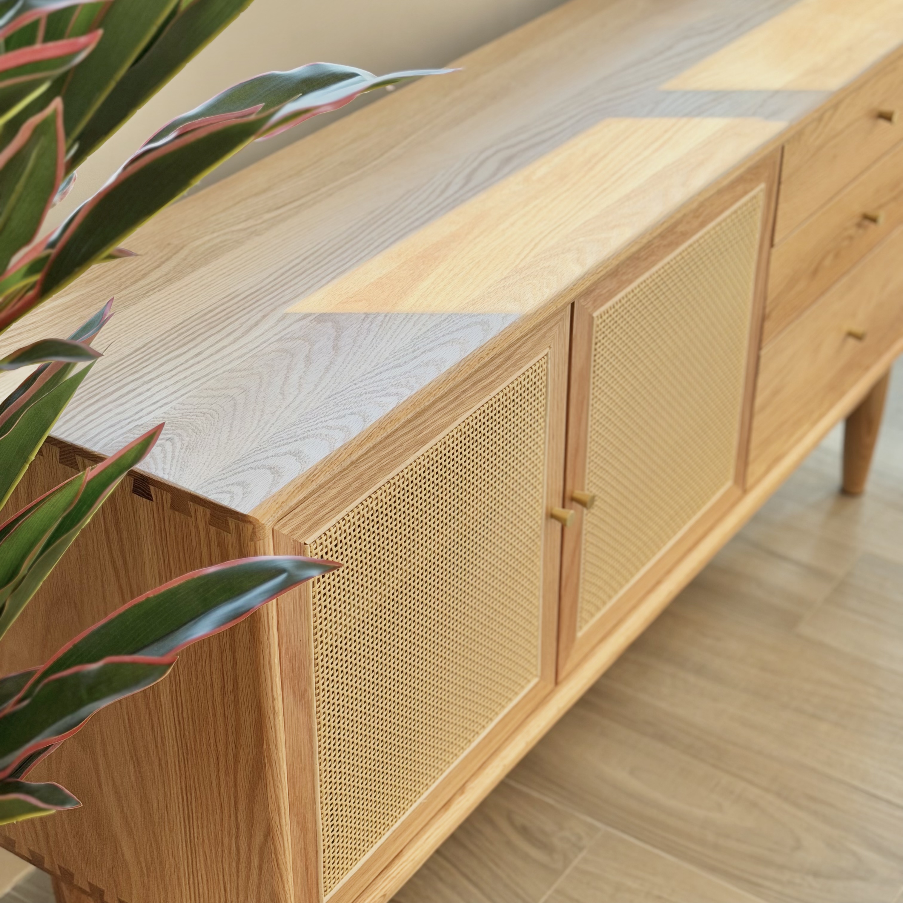 SAGION TV Cabinet