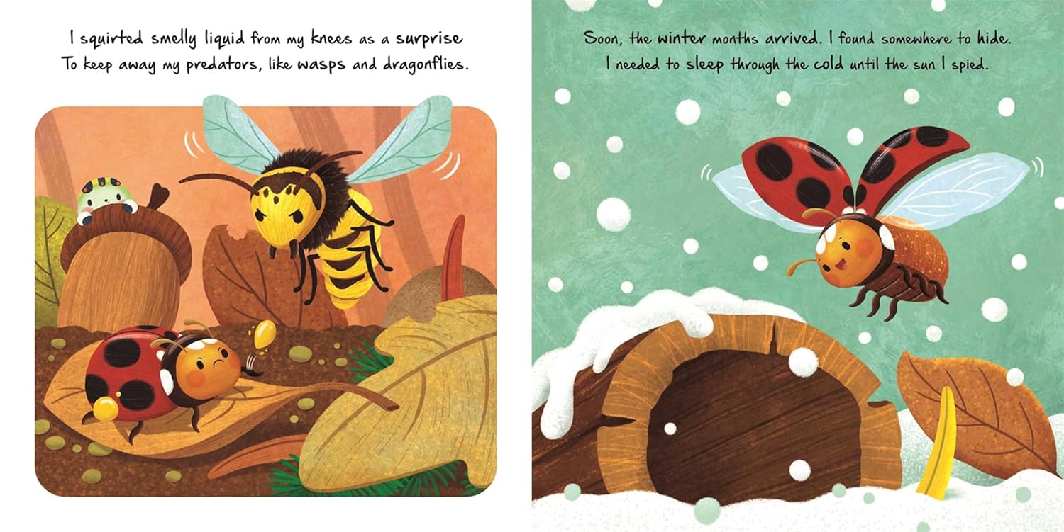 Igloo Books - Nature Stories - Little Ladybird