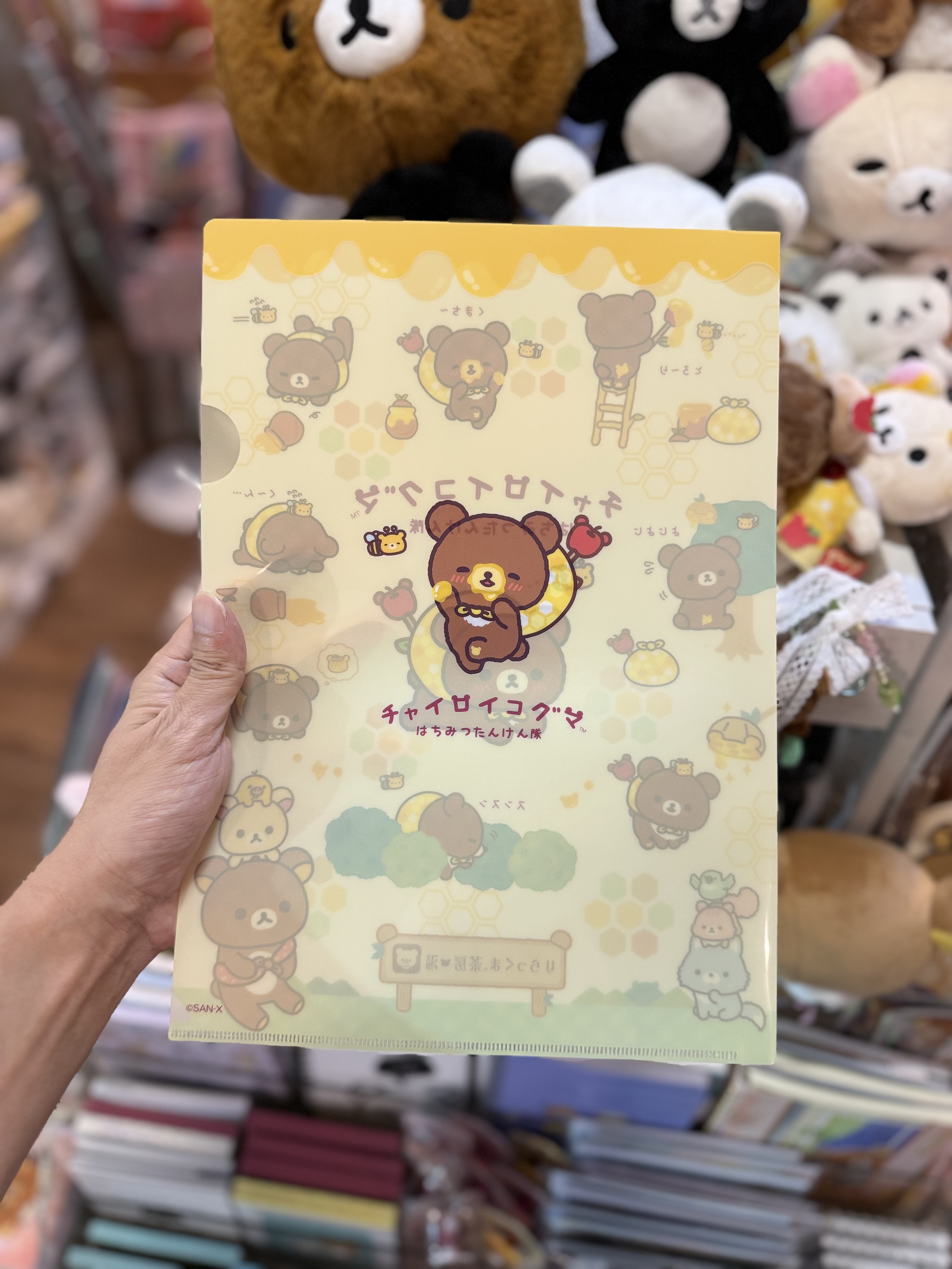 《現貨》全新日本小熊10週年紀念巡迴pop up店限定小熊探險隊系列對裝file