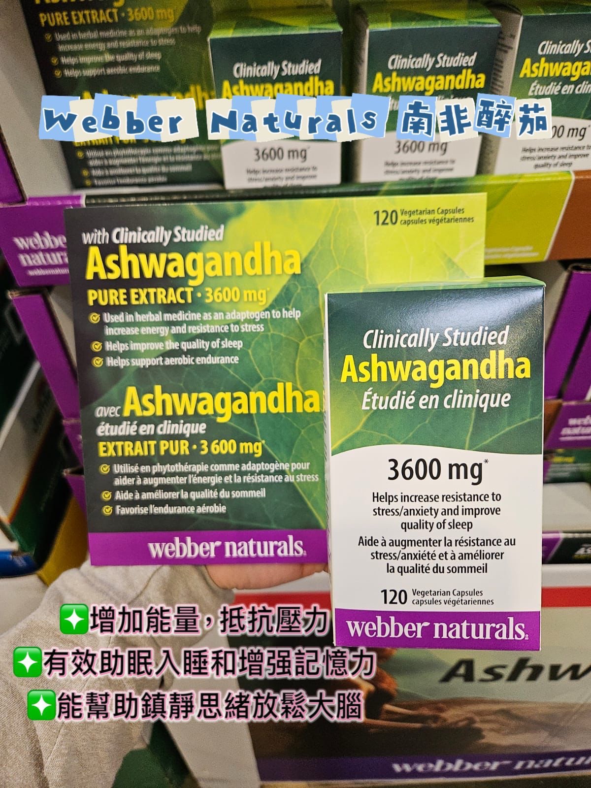 加拿大 Webber Naturals – 南非醉茄萃取物 3600 毫克 120 粒素食膠囊 