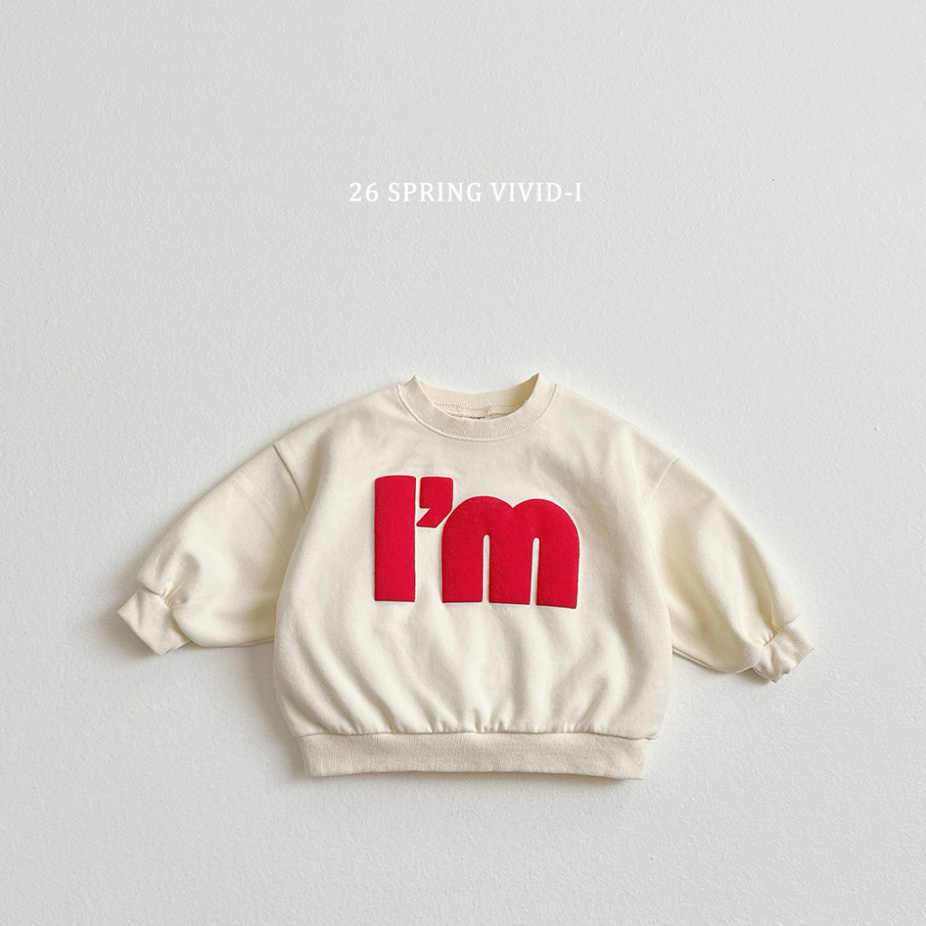 🌸預訂 韓國直送🌸🇰🇷VIVIDI三色立體字母印花寬鬆衛衣