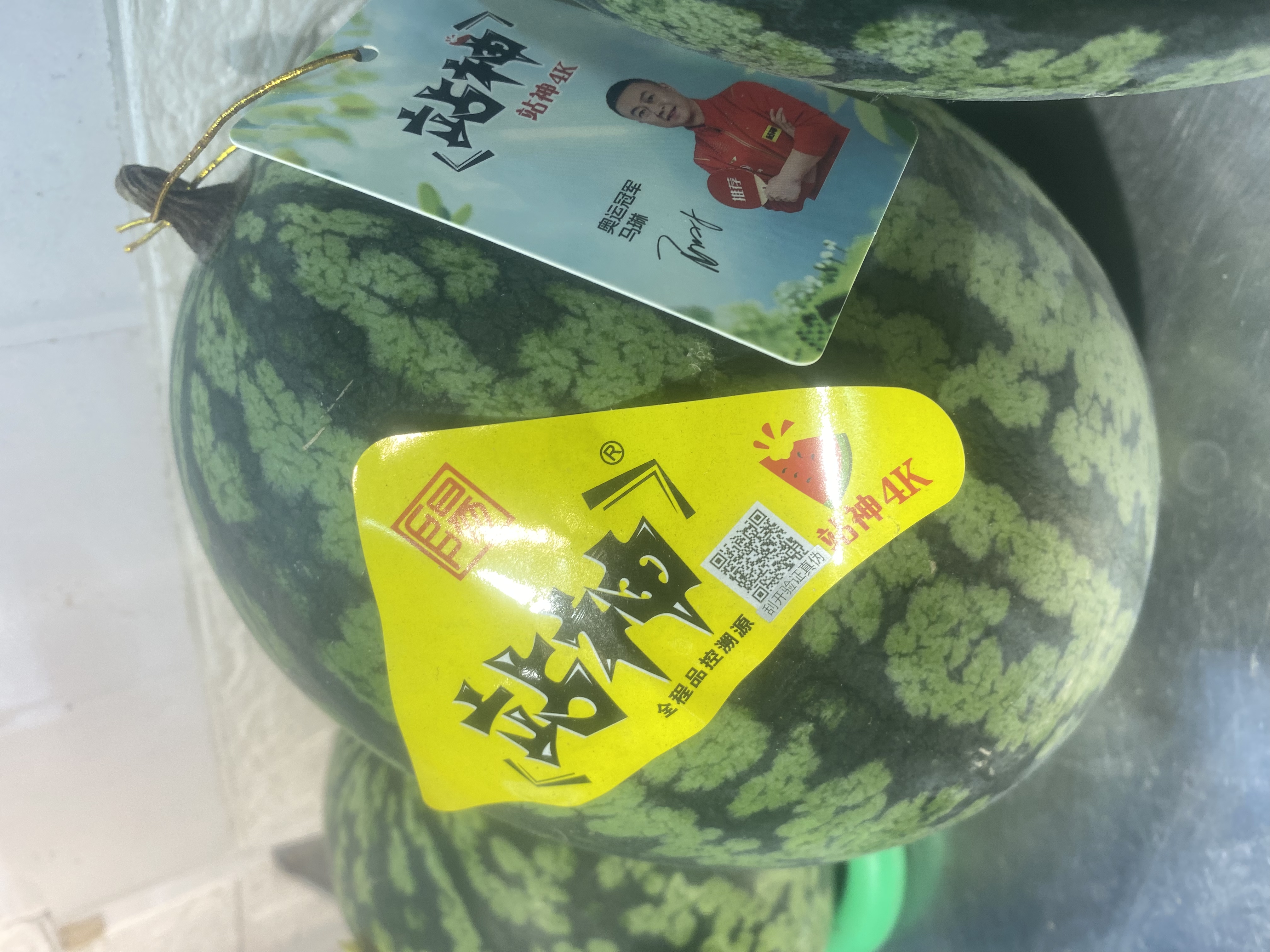 站神西瓜（每個人）