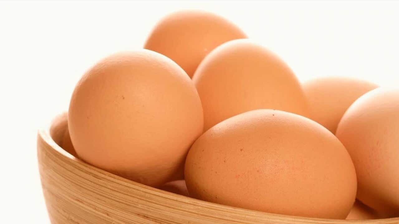 金牌全蛋麵（紙盒裝)