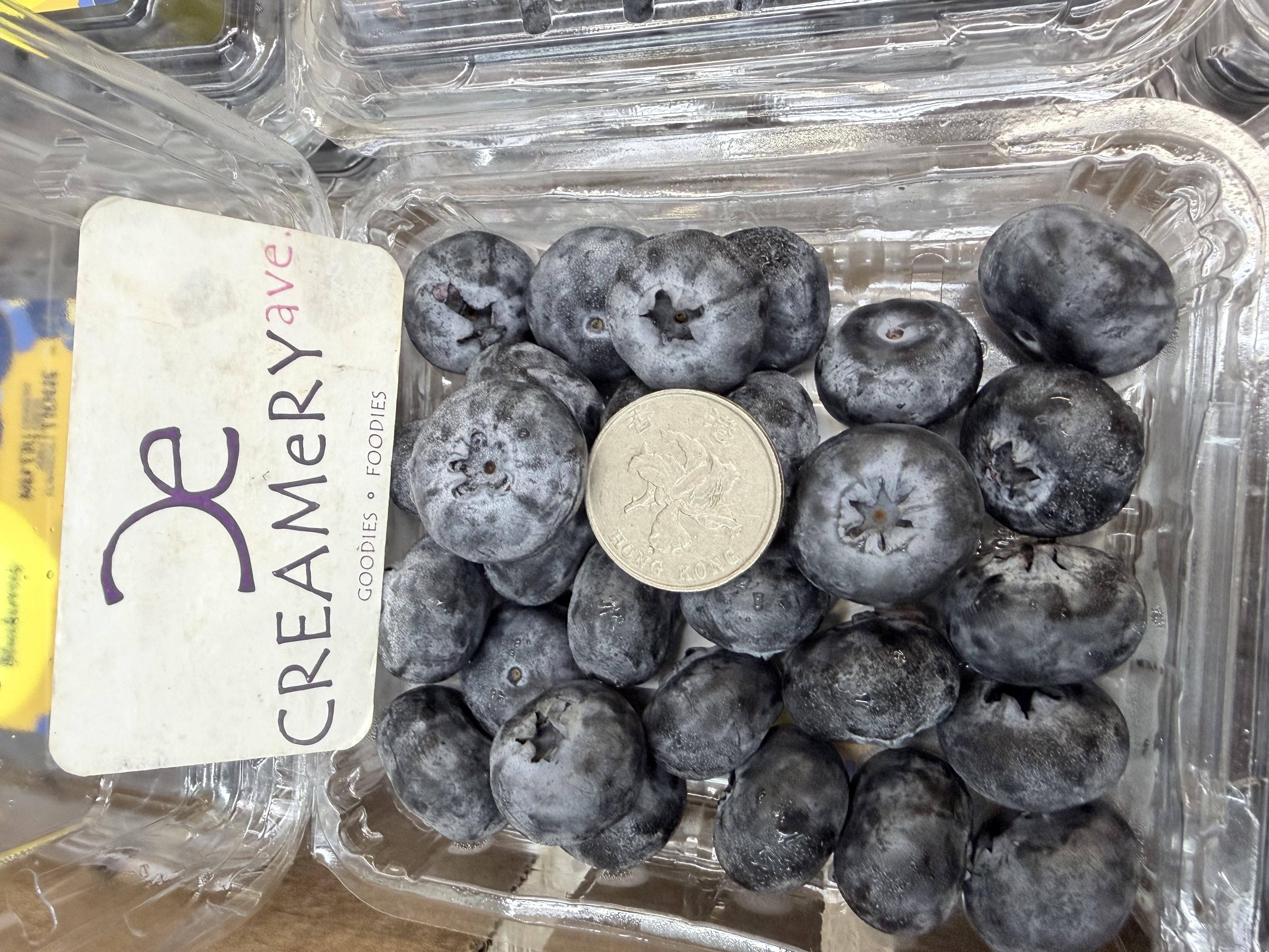 津巴布韋 Driscoll's  珍寶藍莓 Zimbabwe Driscoll's Jumbo Blueberries 盒裝 ±125g/盒