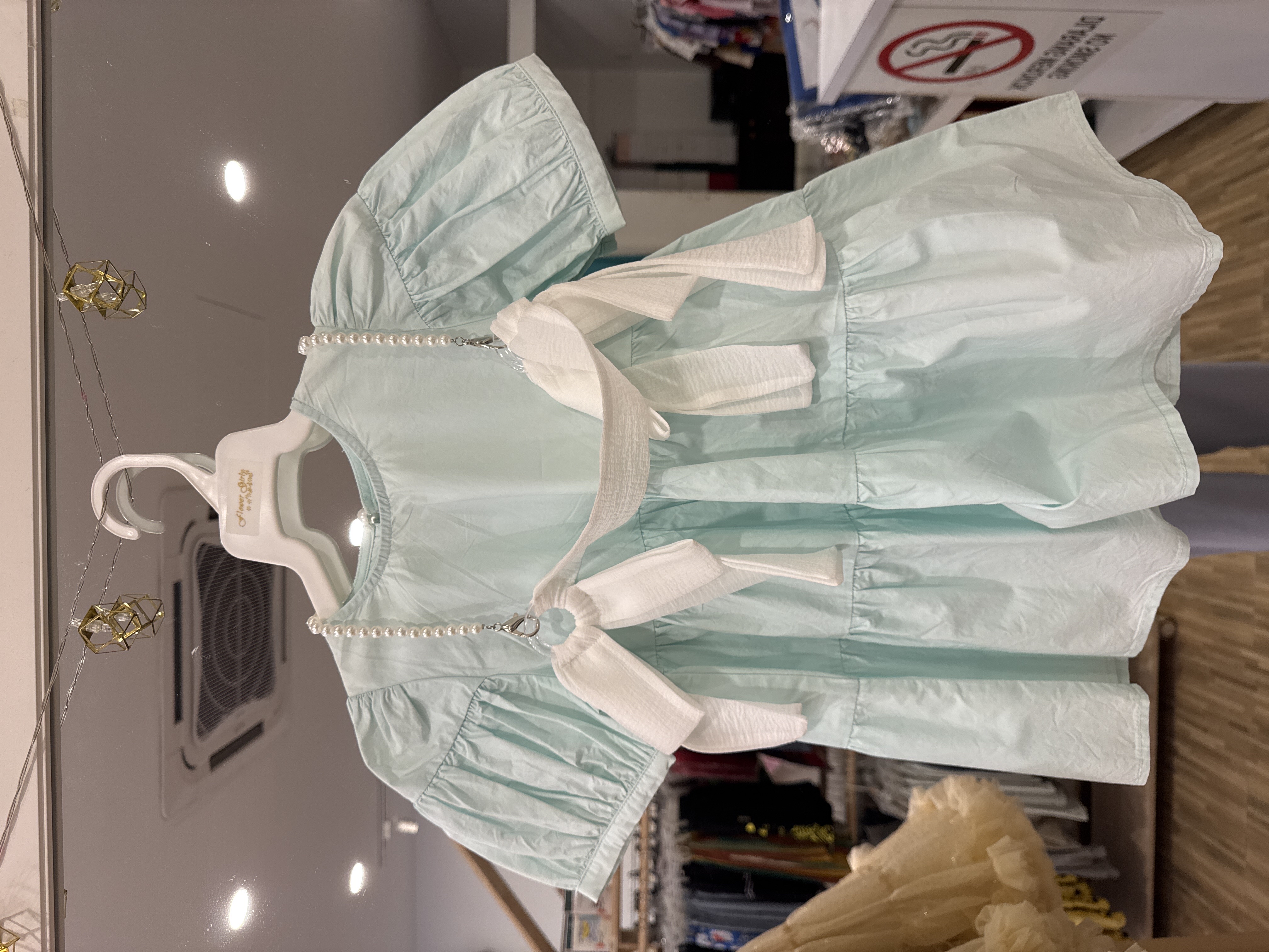 Felicia Dress with necklace 