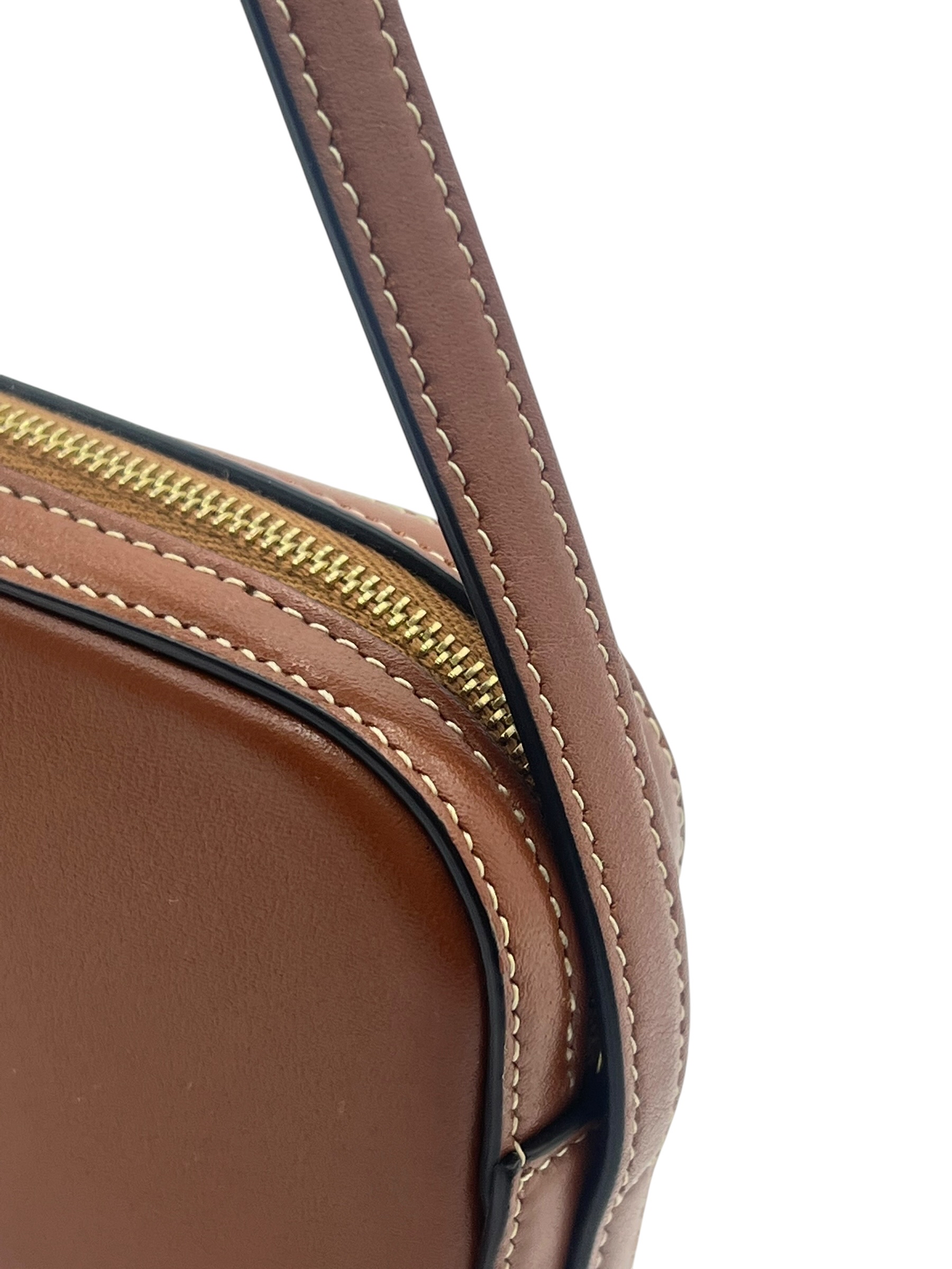 Pre-Owned CELINE Mini Triomphe Leather Shoulder Bag / Product Code: 26060605
