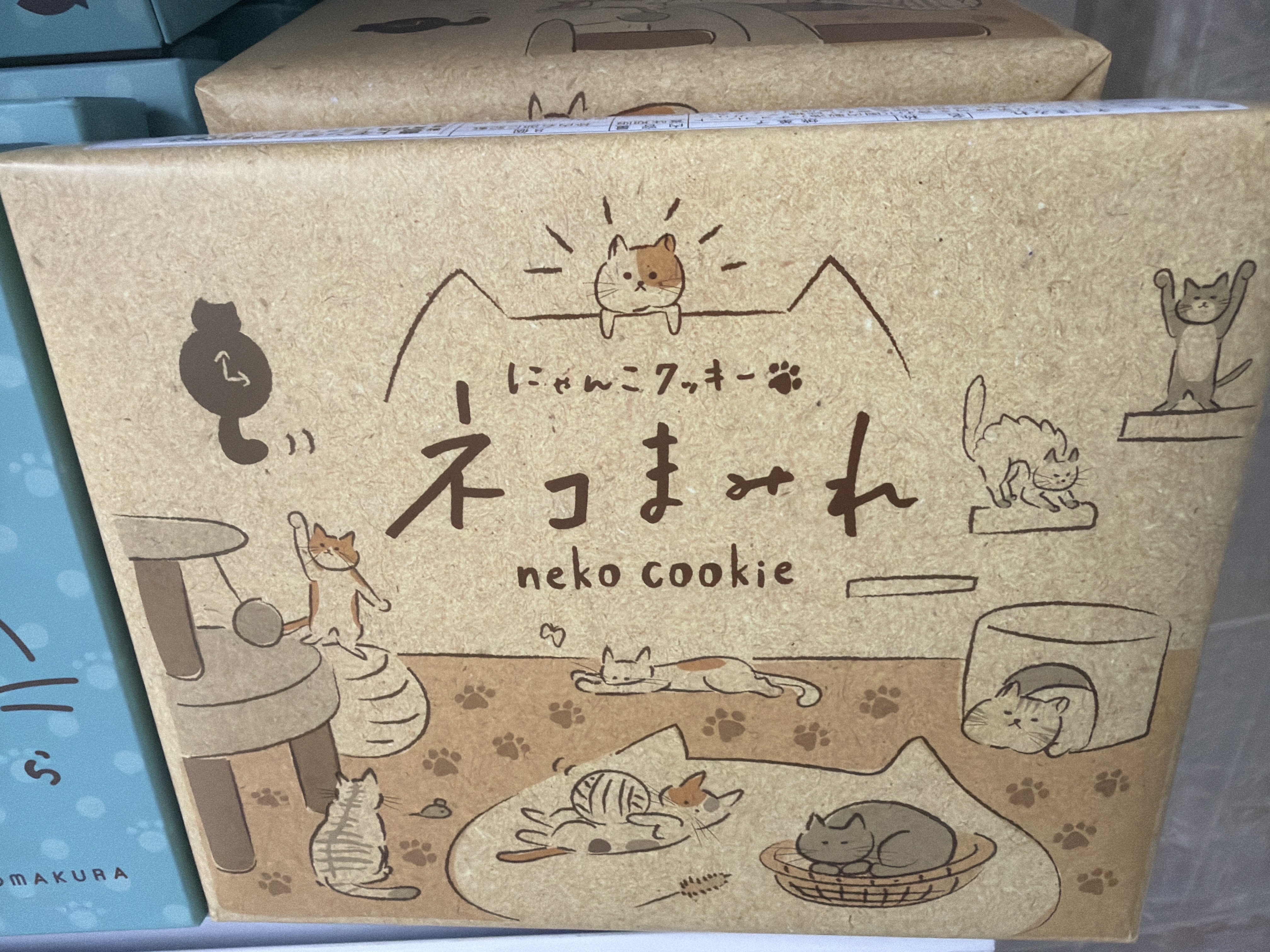 信州貓貓做型禮盒