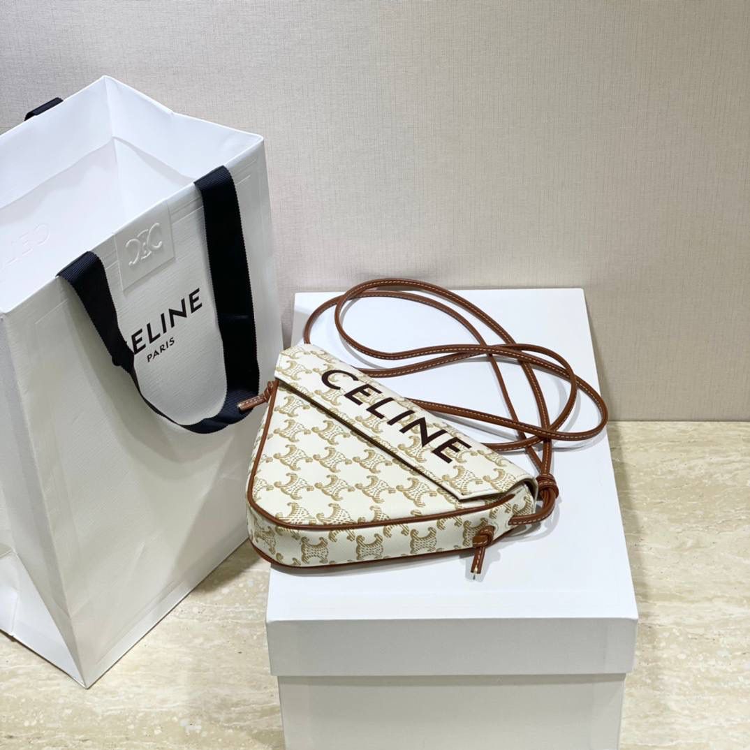 🔥大货实拍图 𝗖𝗘𝗟𝗜𝗡𝗘 ♥ 𝗧𝗥𝗜𝗢𝗠𝗣𝗛𝗘 𝗖𝗔𝗡𝗩𝗔𝗦三角形手袋 𝑪𝒆𝒍𝒊𝒏𝒆2021春夏竟出其不意的玩起了异形包，三角形造型很是别致，彰显不羁姿态，男女同款，吸晴选手✔ 型号：195902 尺寸：21*15*4cm