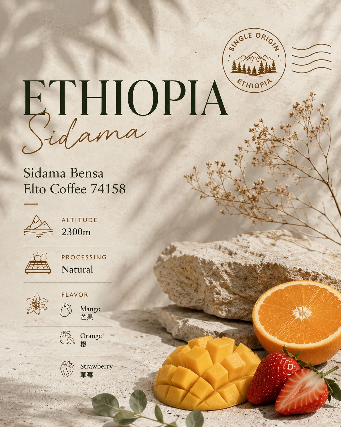  【衣索比亞Ethiopia】Sidama Bensa Elto Coffee 74158