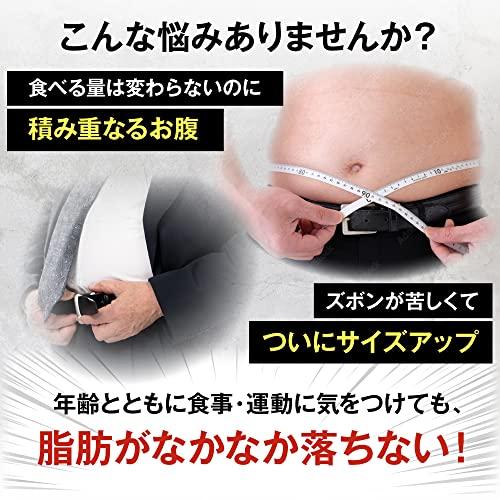 日本小林製藥 減少內臟脂肪機能食品 60粒(30日分)