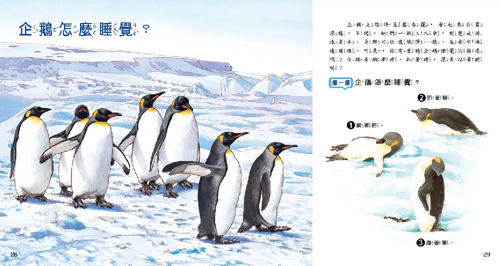 小牛頓 WOW原來是這樣：動物冷知識