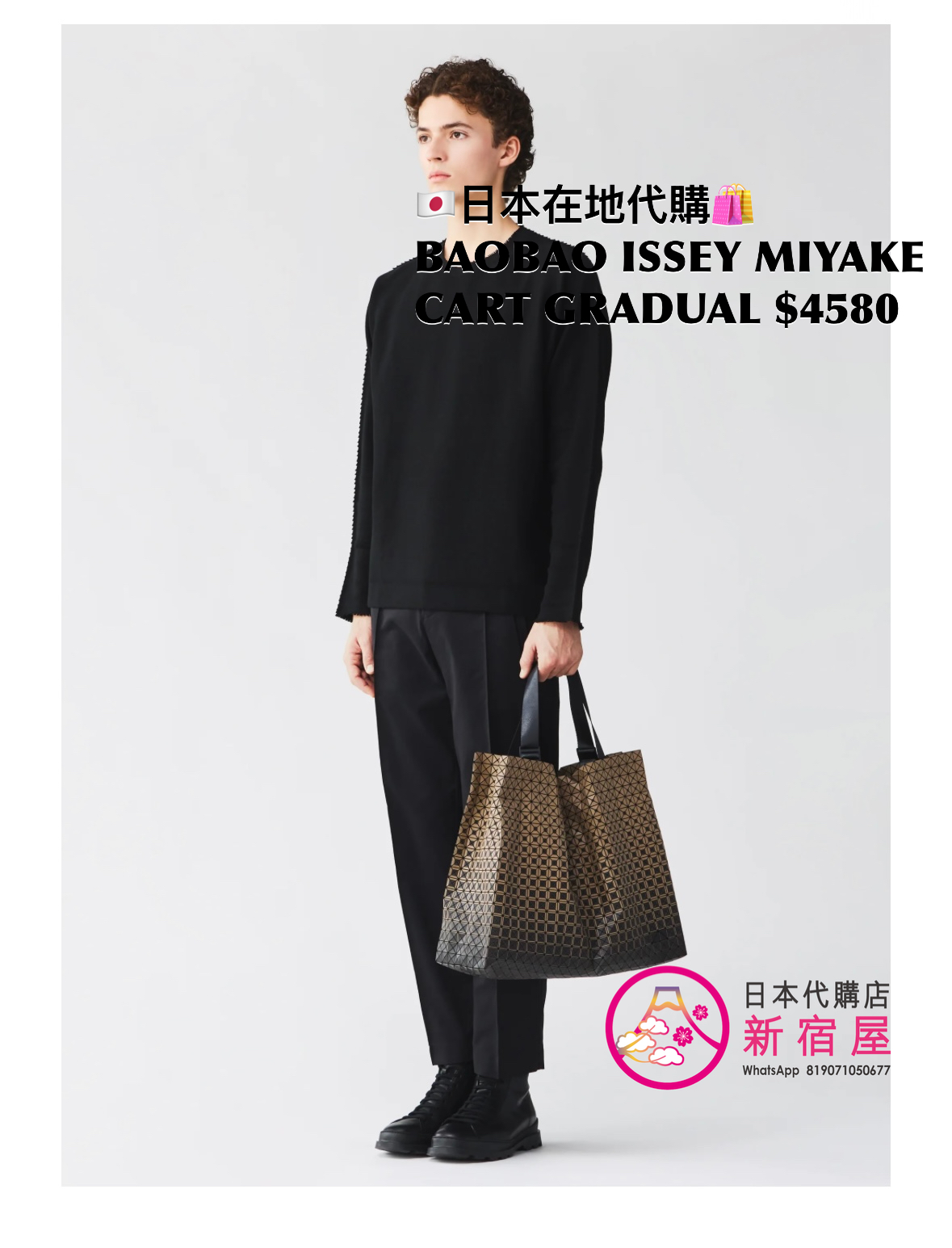 BAOBAO ISSEY MIYAKE CART GRADUAL