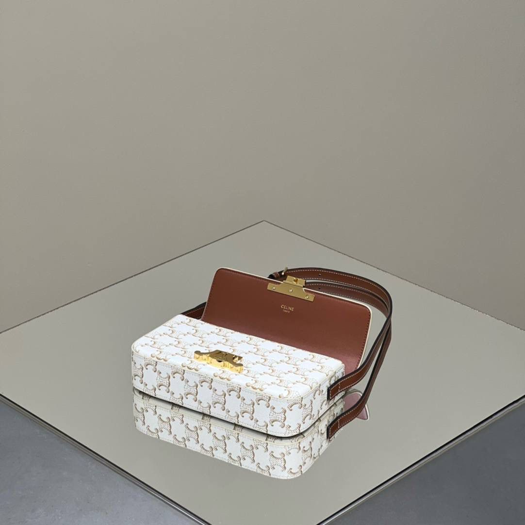 🔥大货实拍图 𝗖𝗘𝗟𝗜𝗡𝗘 ♥ 𝗧𝗥𝗜𝗢𝗠𝗣𝗛𝗘 𝗦𝗛𝗢𝗨𝗟𝗗𝗘𝗥 𝗕𝗔𝗚 型号：194142 尺寸：20*10*4cm