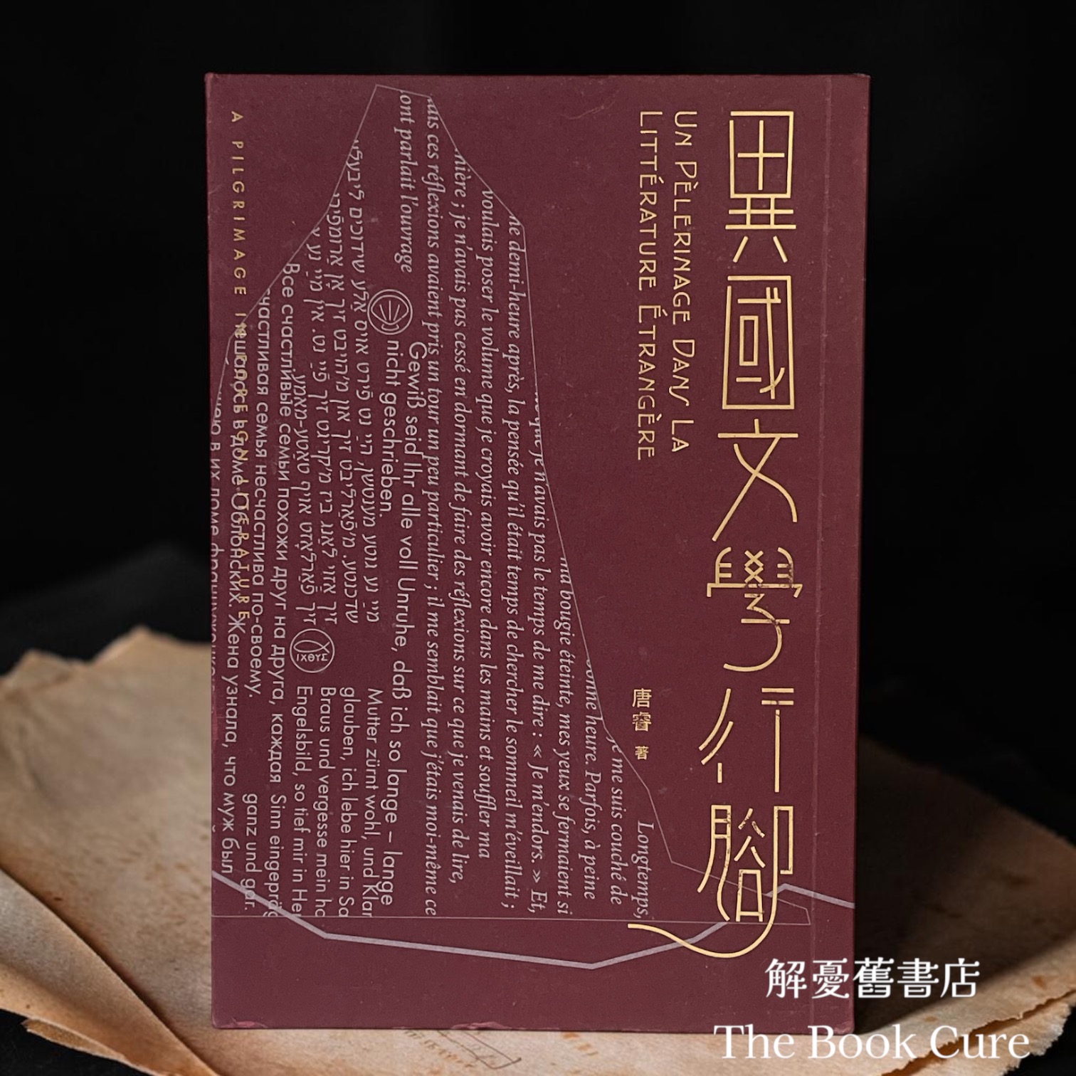 異國文學行腳 / 唐睿 著