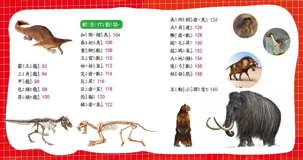 🔸預購貨品🔸史前動物小百科