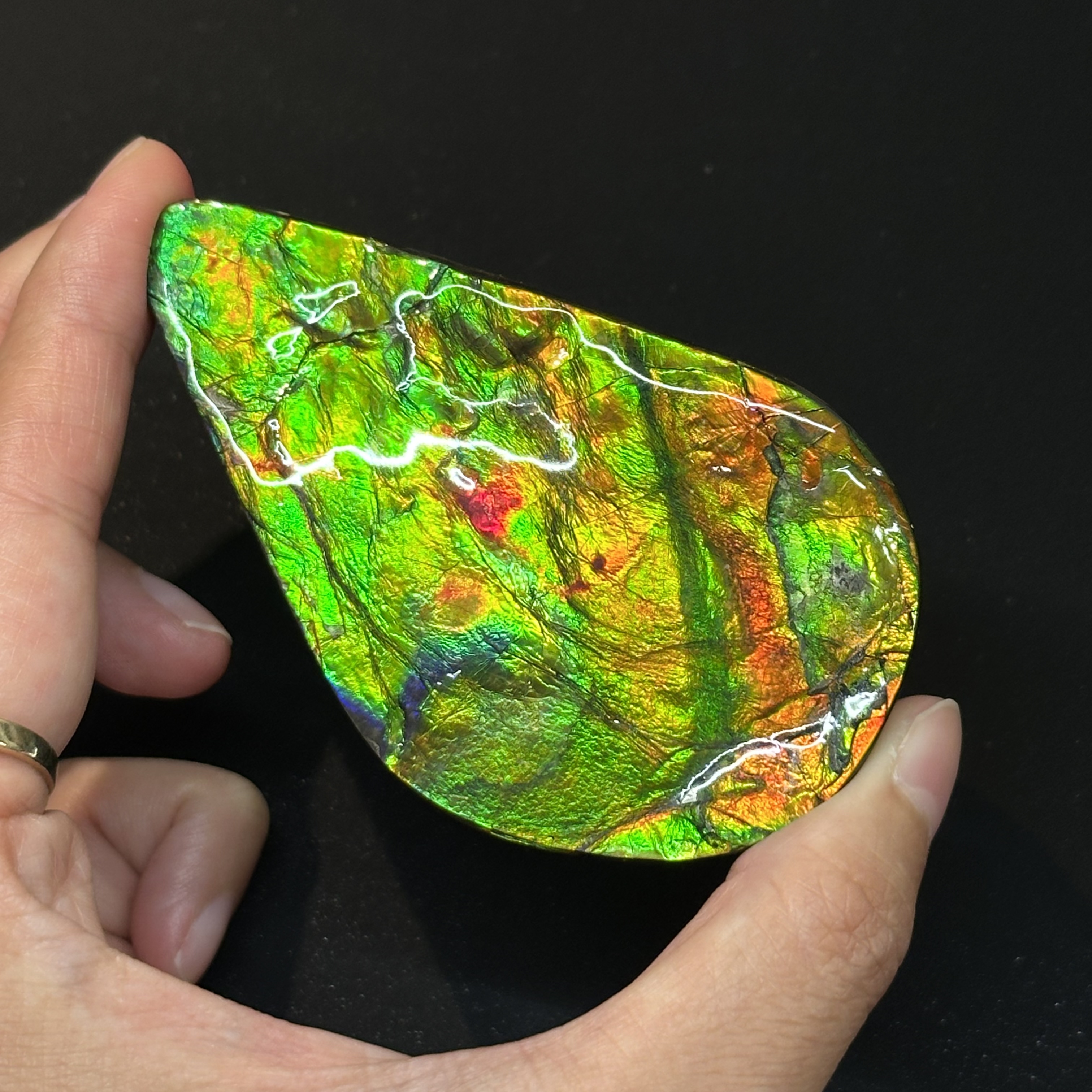 斑彩石 - Ammolite AM02