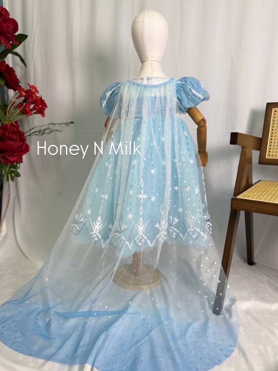 Princess Blue Gown