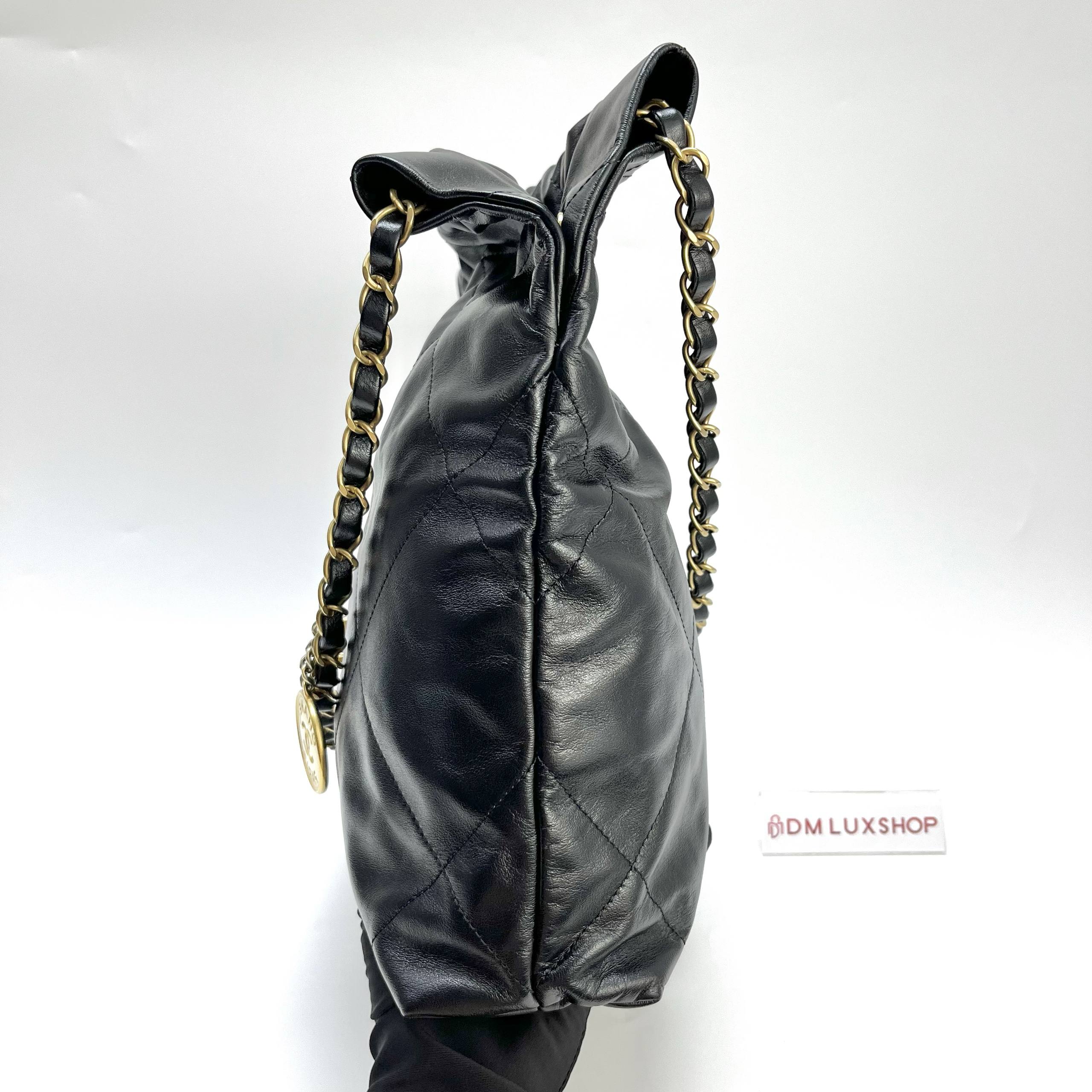 Chanel 22 Small GHW (Microchip)