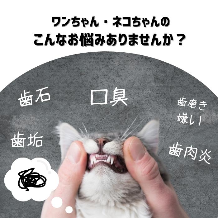 🔥🔥【日本製《PROBIO DENTAL》貓狗專用天然益生菌口腔護理保健粉末】9.8g