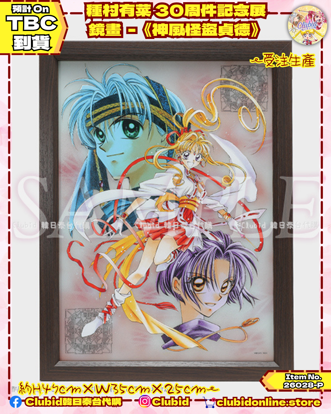 《Pre-Order》鏡畫 Pop Mirror《神風怪盜貞德》｜種村有菜 30周年記念展商品 (26028-P)