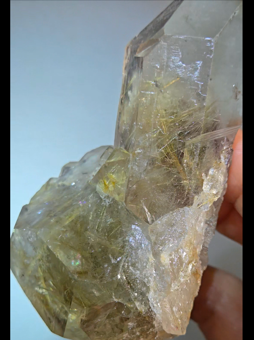 Golden starburst rutiles on black hematite in quartz - RT1429