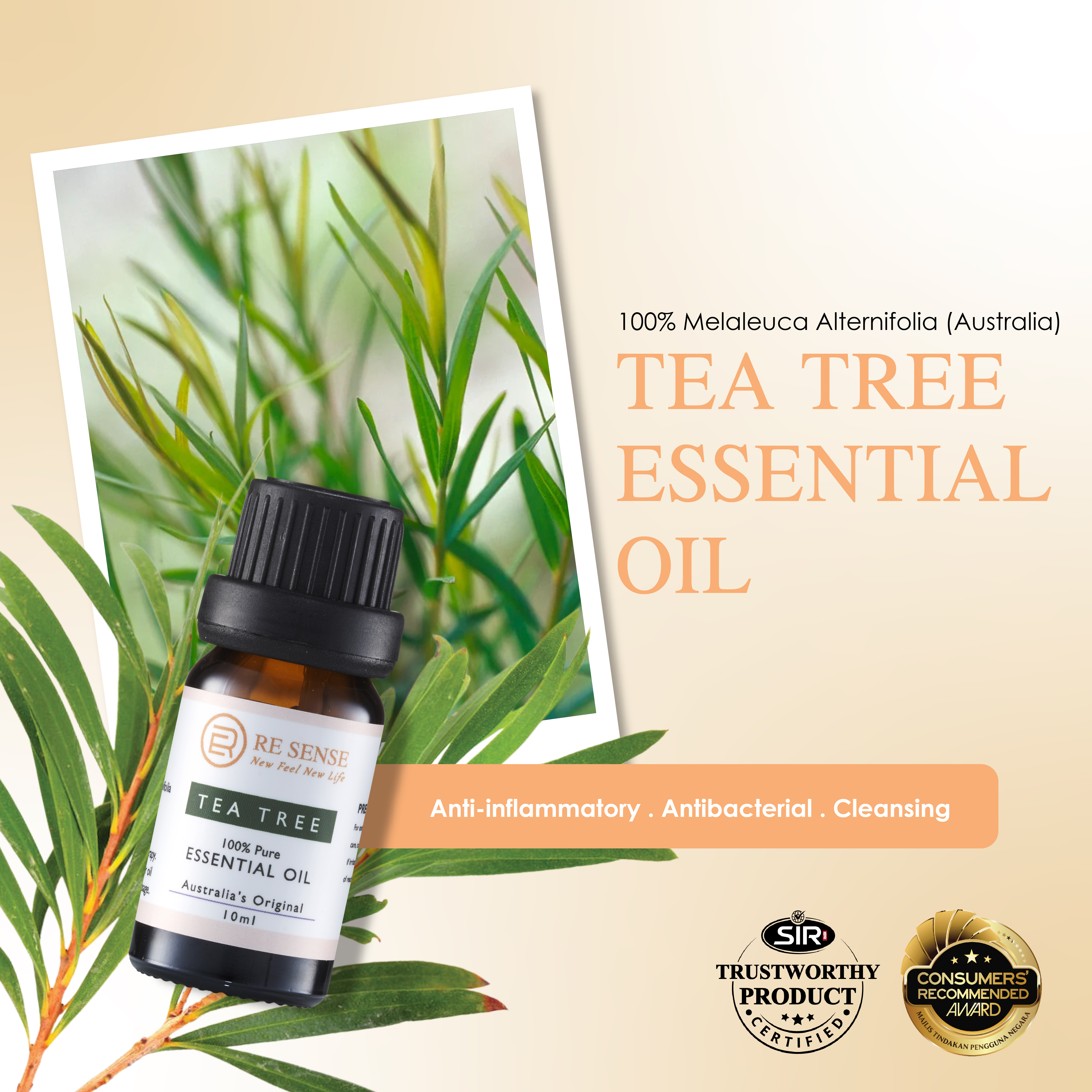 Tea Tree Essential Oil (10ml)